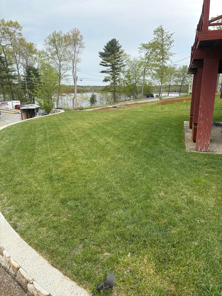 Lakeside backyard lawn maintained by Shaark