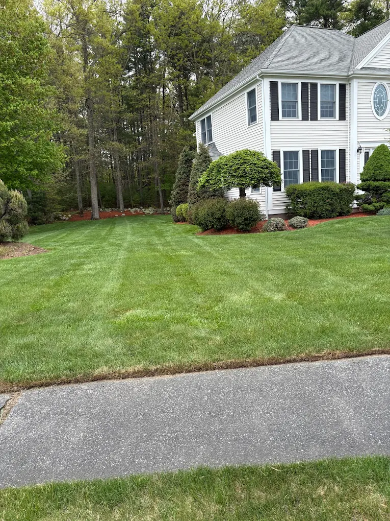 Manicured striped front lawn at Brockton home